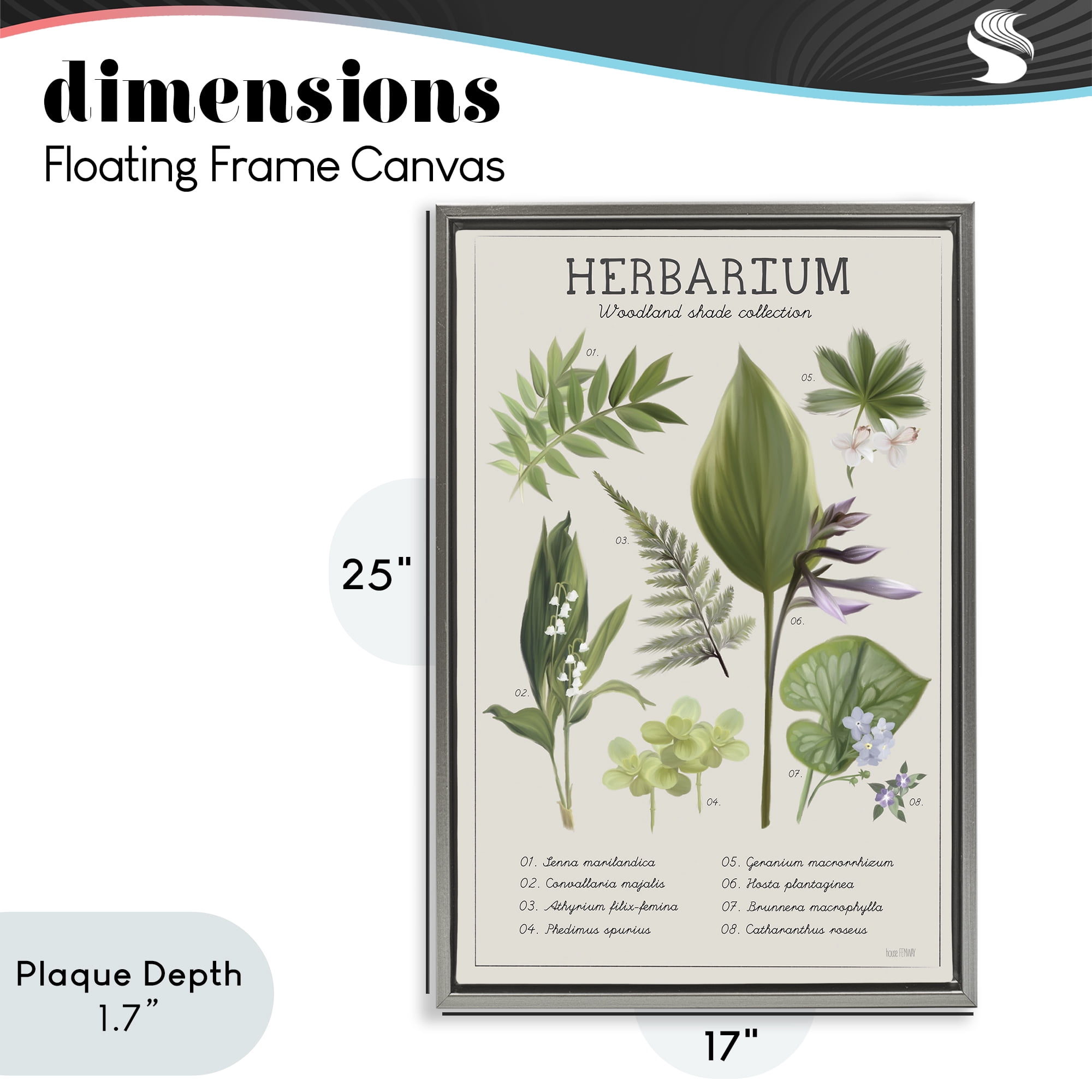 Stupell Industries Herbarium Woodland Shade Collection Gray Framed Floater Canvas Wall Art, design by House Fenway