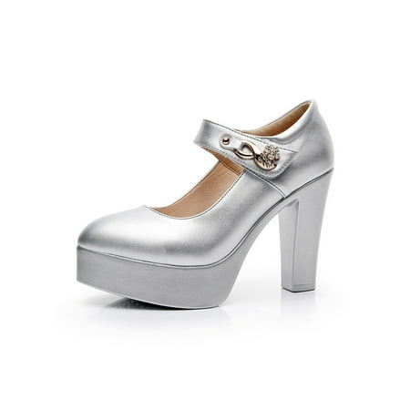 

Rotosw Ladies Pumps One-strap High Heels Pointed Toe Dress Pump Shoes Comfort Chunky Work Shoe Wedding Anti-Slip Mary Jane Silver 10CM 4.5