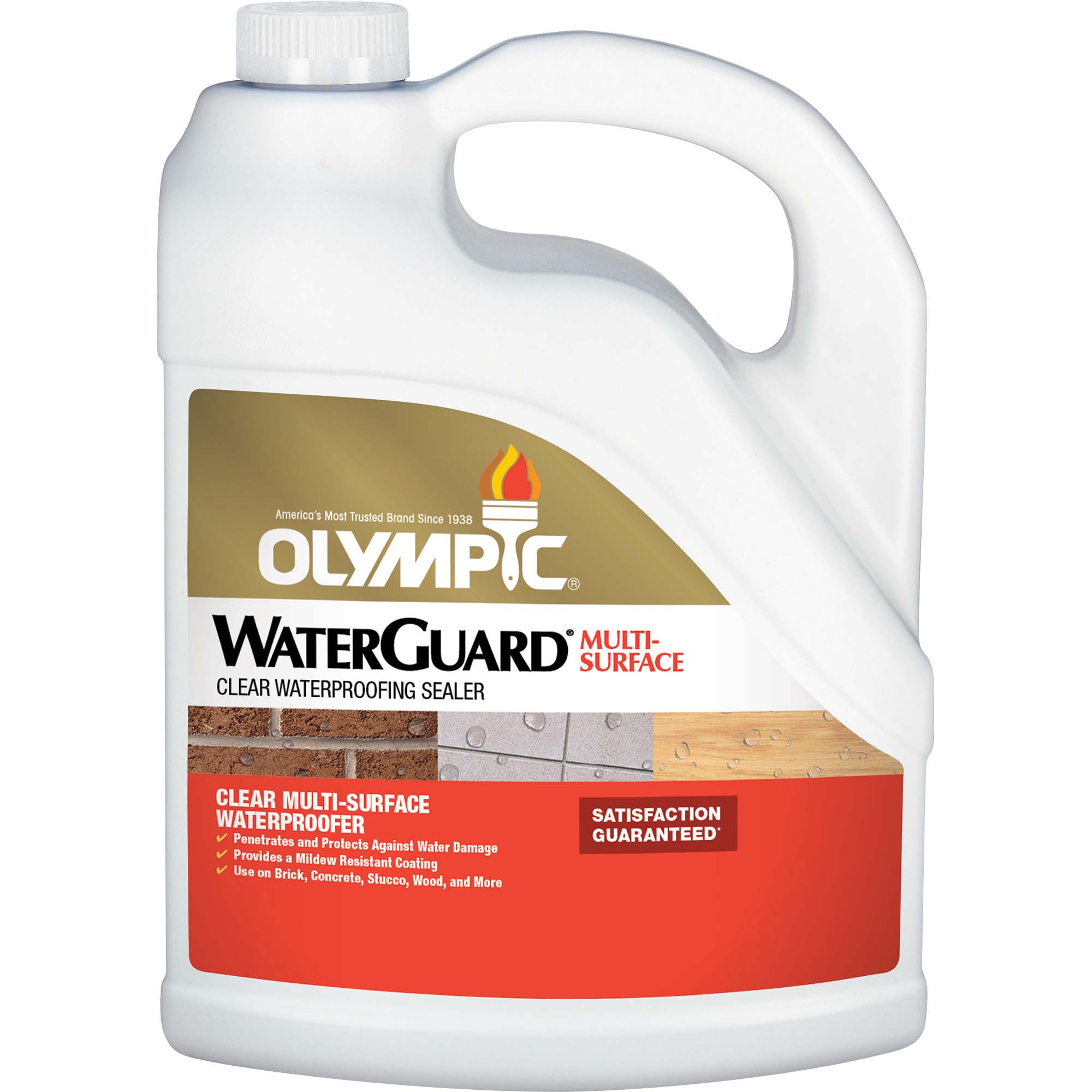 Olympic Waterguard Clear Waterproof MultiSurface Sealer, 1 Gallon