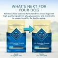 Blue Buffalo Life Protection Formula Chicken and Brown Rice Dry Dog