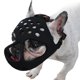 thumbnail image 1 of Bozal sin corteza para bulldogs franceses de hocico corto Boston, 1 of 7
