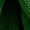 A1_Blackish Green, variant on Womens Oversized Sherpa Fleece Jackets with Pocket Fuzzy Warm Long Sleeve Full Zip Up Outerwear Fall Winter Trendy Shaggy Faux Fur Cardigan Coat Comfy Cozy Casual Soft Coat Blackish Green S