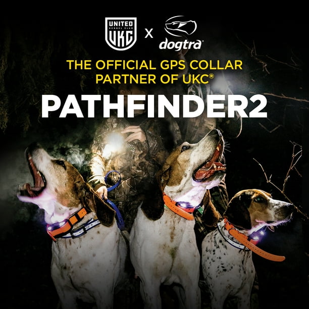 Dogtra Pathfinder 2 Gps Dog Tracker Collar Orange