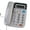 gray, variant on Office Desk Phone With Special Ringing for Calls, 62 Call Memory Office Landline Telephone Adjustable Screen Brightness