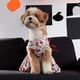 thumbnail image 5 of Pisexur Suministros para mascotas Nueva ropa de Halloween para mascotas Falda aterradora Araña Ropa para perros pequeños y medianos Cuatro tamaños adecuados para perros qperros, gatos y animales, 5 of 7
