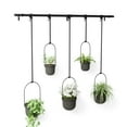 thumbnail image 3 of Umbra Triflora Hanging Planter Set of 5 Black, 3 of 11