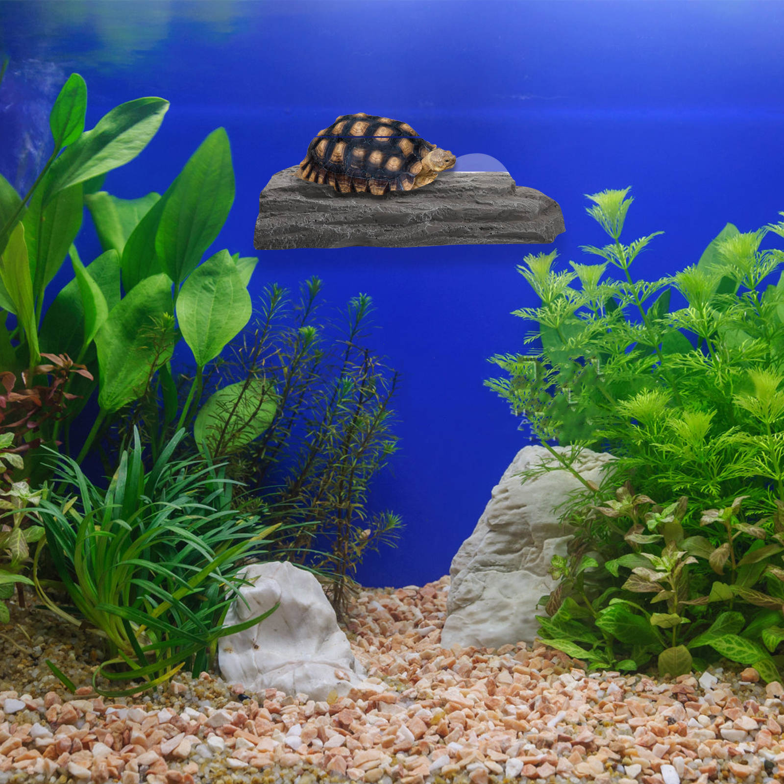 LULULION Dark Grey Resin Turtle Basking Platform for Aquatic Turtles and Reptiles
