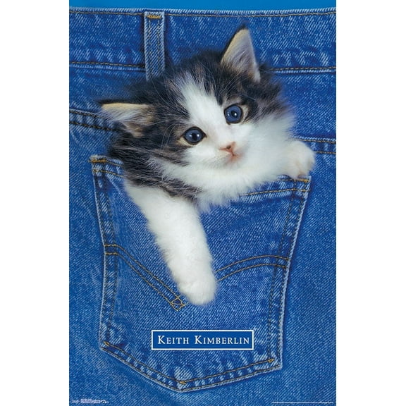 Keith Kimberlin - Kitten - Pocket Wall Poster, 22.375" x 34"