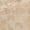 Ivoire, variant on Bedrosians Zagora Rectangle Gloss Ceramic Tile 2 x 6, Caramel (8.03 sq. ft./Case)