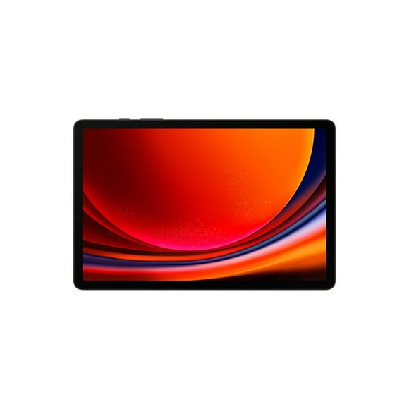 Samsung Galaxy Tab S9 8GB 128GB Gray