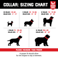 thumbnail image 5 of Boss Dog ProSeries Heavy Duty Dog Collar, Neoprene Lined, Blue, XL, 5 of 6