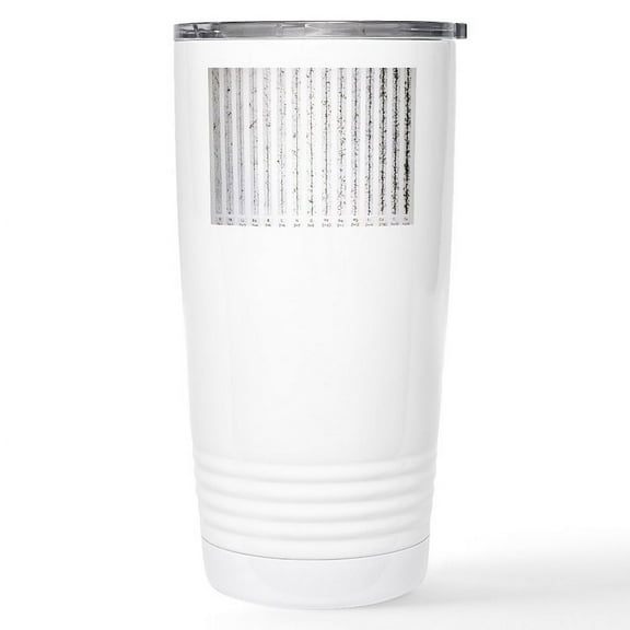 CafePress - Cosmic Ray Atomic Nuclei Stainless Steel Travel - Insulated Stainless Steel Travel Tumbler 20 oz.