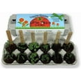thumbnail image 2 of Backyard Safari, Sunny Side up Little Pizza Garden Kit Outdoor for Planting Tomato, Basil, Oregano, 2 of 5