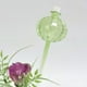 thumbnail image 4 of Paquete de 2 Globos de Riego Automáticos para Plantas de 500 Ml | Picos Autodirigidos para Plantas de Interior En Maceta | Sistema de Riego Por Goteo para Amantes de Las Plantas En Vacaciones y Ocupa, 4 of 6