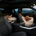thumbnail image 3 of Lit Convertible Matelassé Polyvalent pour Petits Chiens et Chats - Fonction Voyage Lit pour Animaux, 3 of 3