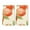 Yoard0604056, variant on YladaFaie Kitchen Towels Peach Pattern Dish Towels Summer Tea Towel Nautical Kitchen Towels, Hand Towels, Tea Towels, Housewarming Gift for Home, Set of 2,16" x 24''