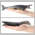 thumbnail image 4 of Educational Plastic Simulated Plesiosaurus Mosasaurus Pterosaur Dinosaur Model Kids Biological Toy Gift 3 s, 4 of 9