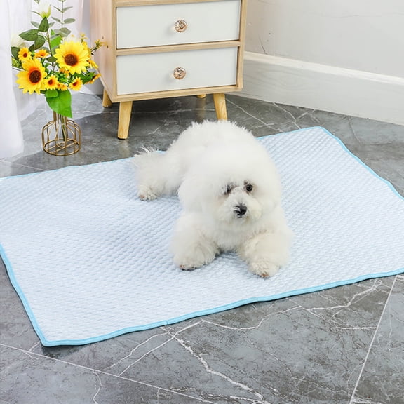 Dog Cooling Mat, Pet Cool Pad Blanket Reversible (Cool & Warm) for Dogs Cats, Soft Thick Ice Silk on Kennel Floors Outdoor for All Season, Blue 28"x20"