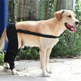 thumbnail image 3 of Adjustable Black XS Dog Hind Leg Brace - SBR Material Pet Knee Support Wrap for Arthritis Recovery, Injury Protection & Wound Licking Prevention - Comfortable Joint Guard with Shockproof & Heat, 3 of 6