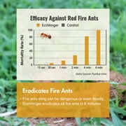 EcoVenger Ant Killer & Nest Treatment (32 OZ), 100% Quick Kill, Also Kills Fire Ants. Lasting Repellency, Safe for Children & Pets