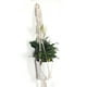 thumbnail image 1 of Decoración Interior Del Tenedor Macarena Cesta de colgador de plantas Beige 98 x 8 x 2 cm, 1 of 8