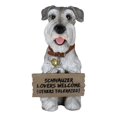 thumbnail image 4 of Adorable Grey Schnauzer Dog Sitting With Jingle Collar Greetings Sign Statue, 4 of 9