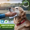 thumbnail image 2 of Petazy XL Thick Dog Grooming Wipes, Lavender Scented, Hypoallergenic Cleaning and Deodorizing, Paws Butt Ears Eyes, 400 Count with 4 Pet Gloves, 2 of 8