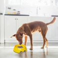 thumbnail image 5 of Comedero lento para perros, cuenco anti-tragos, m, amarillo, 5 of 5