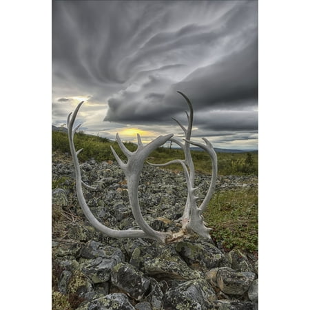 Lenticular clouds form overtop of Crow Mountain while a set of caribou antlers lie on the rocks Old Crow Yukon Canada Canvas Art - Robert Postma Design Pics (12 x 18)