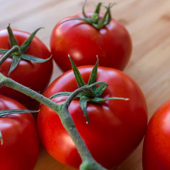 Mountain Delight F1 Hybrid Tomato Seeds - 300 Mg Packet ~70 Seeds - Non-GMO, F1 Hybrid - Vegetable Garden - Lycopersicon esculentum