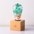 thumbnail image 4 of LED Table Lamp Ambient Night Lights, Nurdery Lights, Gift for Kids, 4 of 8
