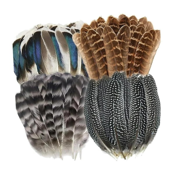 Plumas para manualidades Macarena 40 piezas de colores sombrero de vaquero plumas artificiales creativas