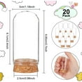 thumbnail image 5 of 20Set Glass Dome Cover Decorative Display Case Cloche Bell Jar Terrarium with Cork Base Arch Clear, 5 of 9