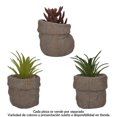 thumbnail image 1 of Maceta Prichos 10.3 cm H Decoración de planta, Varios modelos 1 pieza, 1 of 4