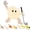 Golf, variant on All-Star Sports Night Light Buddy - Sports Night Light Buddy | Cute Sports Ball Night Light Buddy for Bedroom Desk Game Room, Ideal Gift for Athletes, Players & Sports Fans