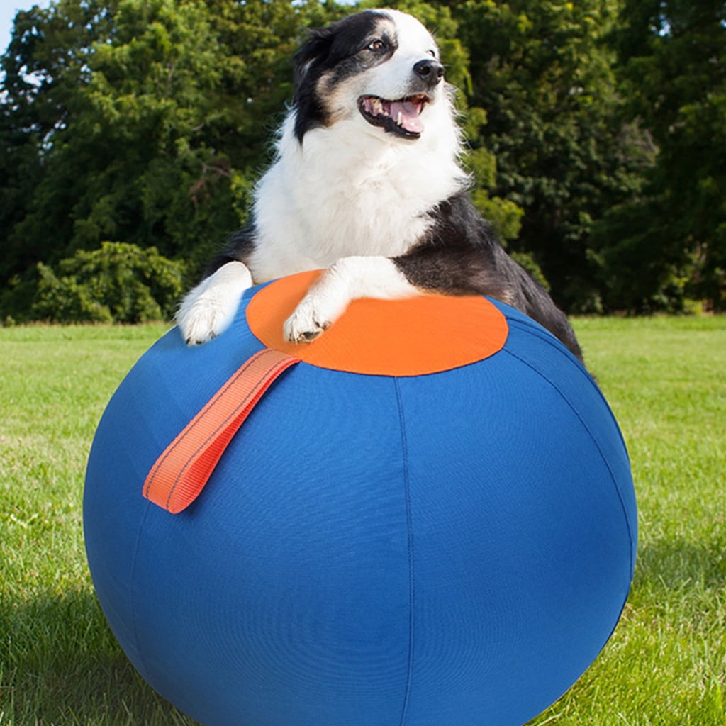 Dog Herding Sphere for Outdoor Active Play and Exercise Large Sphere with Handle Toy Sphere for Shepherds, Corgis, Collies