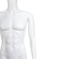thumbnail image 4 of Maniquí Exhibidor De Torso Con Brazos Masculino Plastico EXPOR MT2, 4 of 4