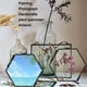 thumbnail image 3 of Marco de Fotos Flotante Colgante de Cristal Hexagonal Moderno Sunnimix Negro Cobre 8.8 x 8.5 cm, 3 of 8
