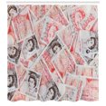 thumbnail image 3 of Ambesonne Money Shower Curtain, Bills of Britain, 69"Wx84"L, Scarlet Taupe, 3 of 3
