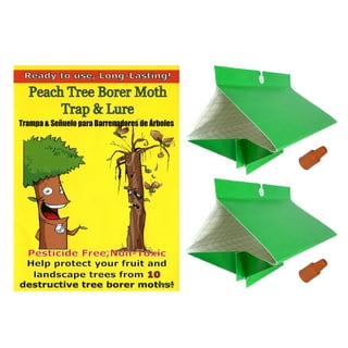 VivaTrap Peach Tree Borer + Clearwing Moth Trap & Lure (2 Pack)