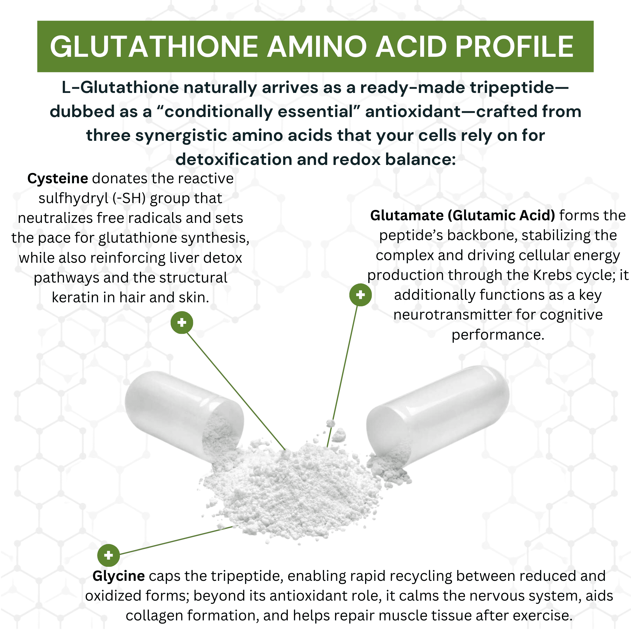 amway l glutathione Glutathione 725mg Per Capsule OrganiMAXX L-Glutathione One A Day capsules.  Glutathione Supplements for Antioxidant And Detox Support