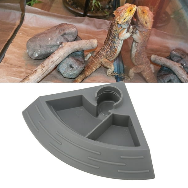 Automatic lizard feeder hot sale
