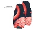 thumbnail image 6 of Yiaed Colorful Floral Flamingo Print Car Seat Covers,Universal Auto Seats Protector Fits for Car,SUV Sedan,Truck,Automotive Seat Covers & Accessories(Two packs), 6 of 7