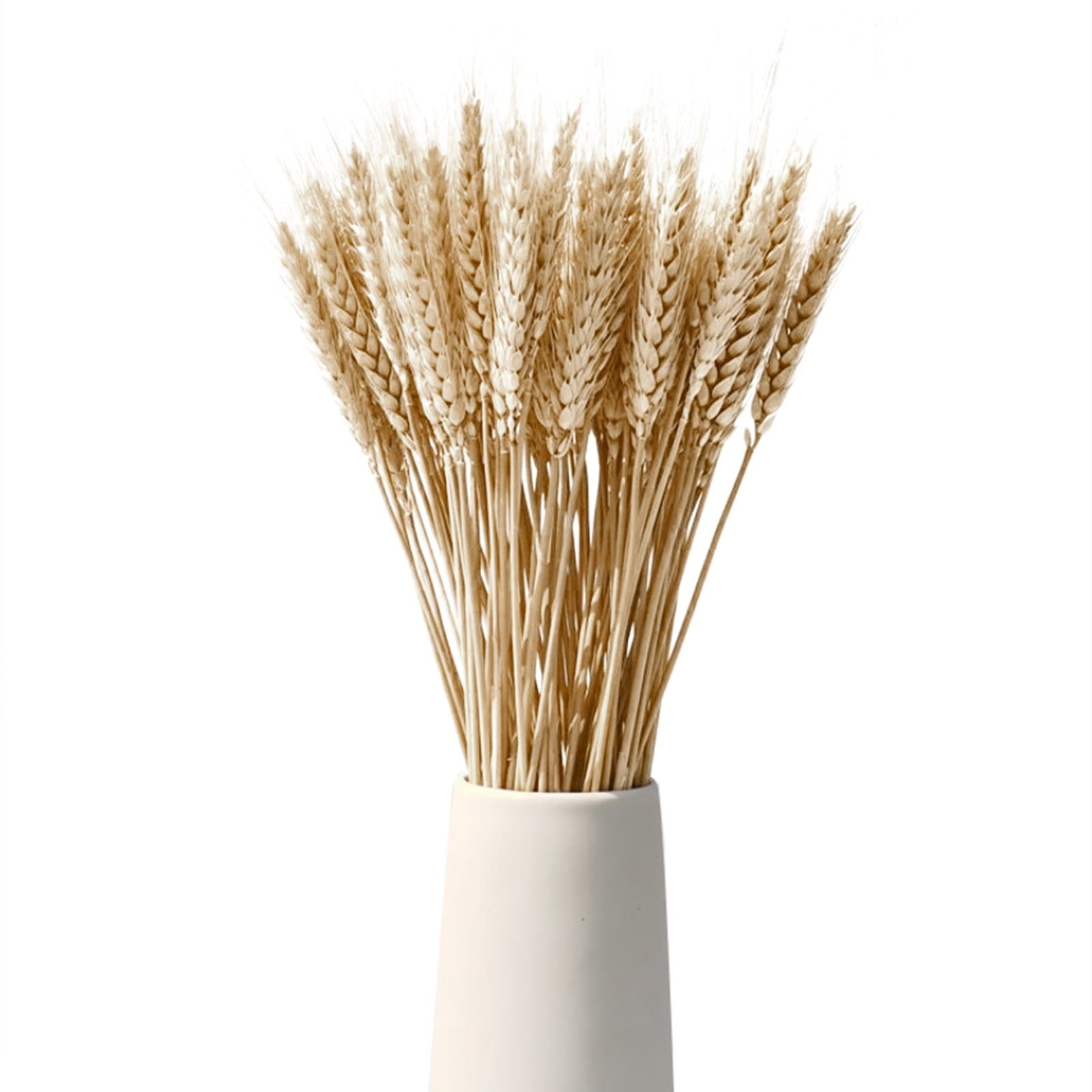 Famelof Dried Wheat Stalks Natural Wheat Sheave Bundle 100 Stems Wheat