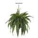 thumbnail image 3 of Cateissary Planta colgante verde con follaje verde artificial, durabilidad elegante y duradera para interiores Decoración verde 6 pulgadas, 3 of 6