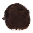 thumbnail image 3 of Men Short Cosplay Wig,Men Short Wigs Fluffy Men Synthetic Wig Men Short Brown Wig Best in Class, 3 of 8