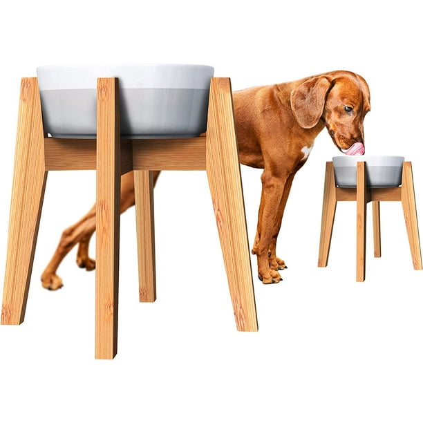 Dog bowl stand clearance b&m