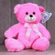thumbnail image 4 of PELUCHERIA - Oso de Peluche 25 cm Everbear, Suave y Resistente, Ideal para Regalo (Rosa), 4 of 5