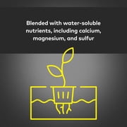 GH MaxiBloom 2.2 lb by General Hydroponics