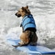 thumbnail image 3 of Chaleco salvavidas reflectante ajustable para mascotas, ropa de entrenamiento para cachorros y perros, 3 of 5